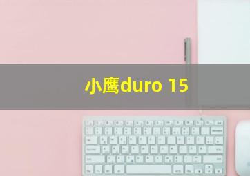 小鹰duro 15